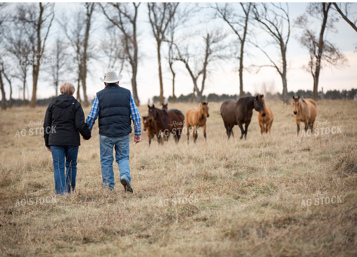 Ranchers on Pasture 285057