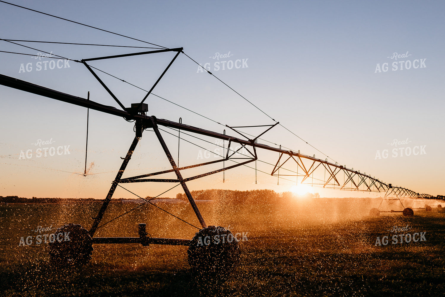 Irrigated Field 152202