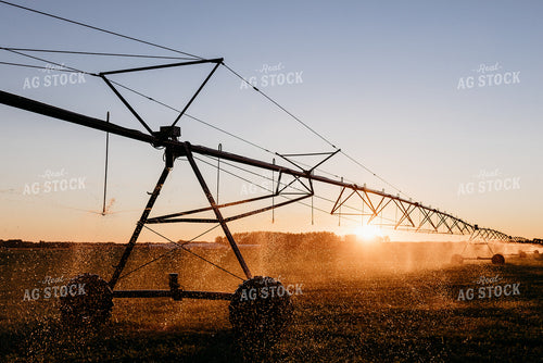 Irrigated Field 152202