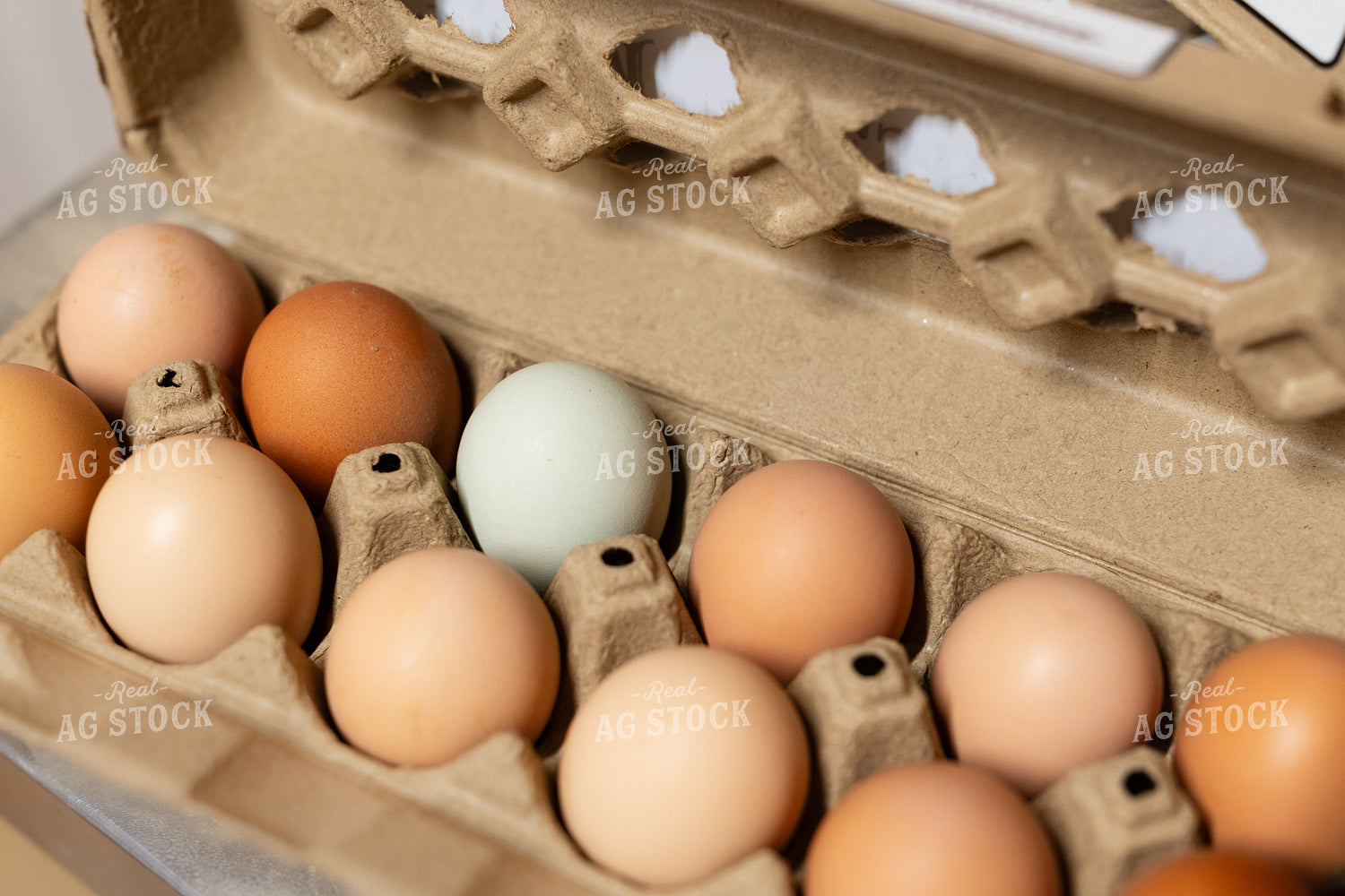 Eggs 295034