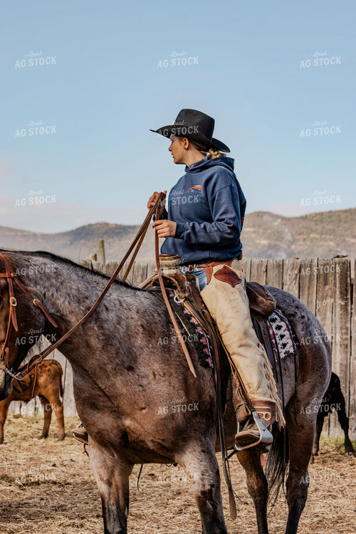 Gathering Cattle on Horseback 200049
