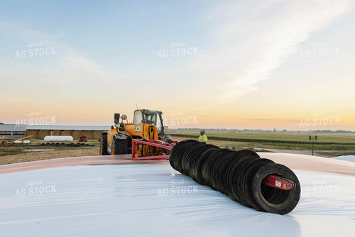 Storing Corn Silage 152563