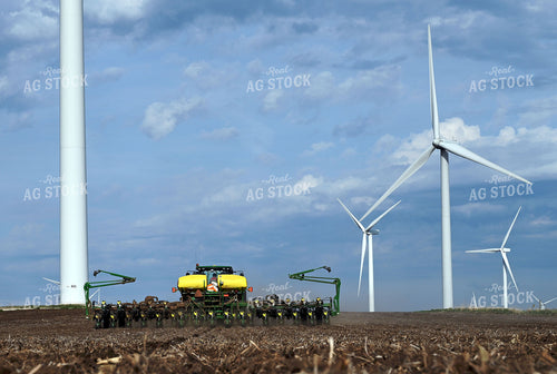 Planting 211014