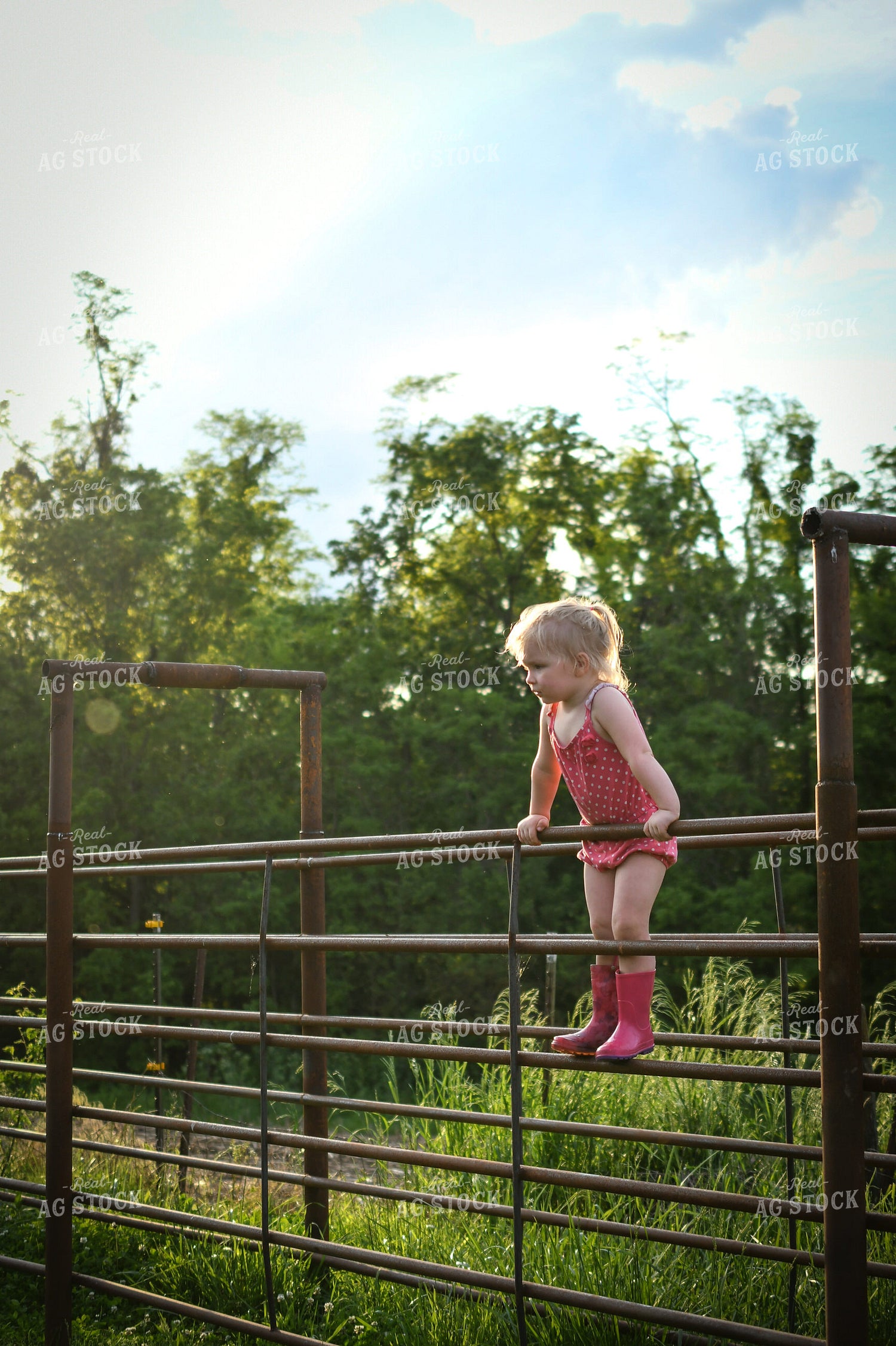 Farm Kid Leaning on Fence 191168
