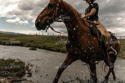 Rancher on Horse in Creek 58198