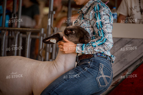 Showing Goats 97172
