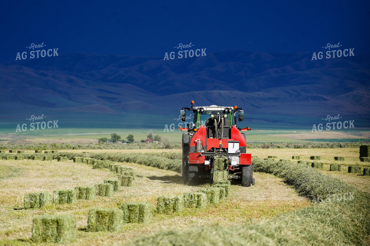 Hay Harvest 293002
