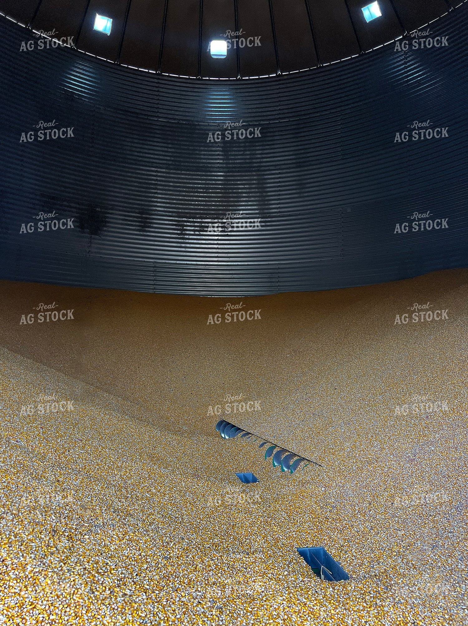 Inside Grain Bin 141011