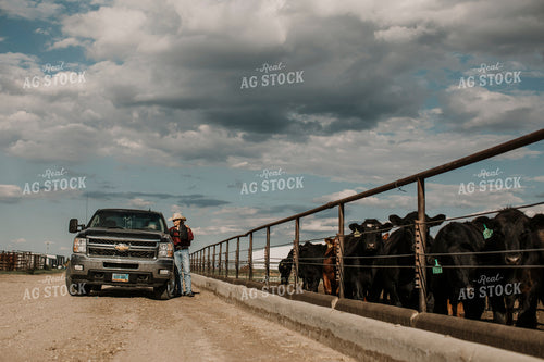 Feedyard 3024