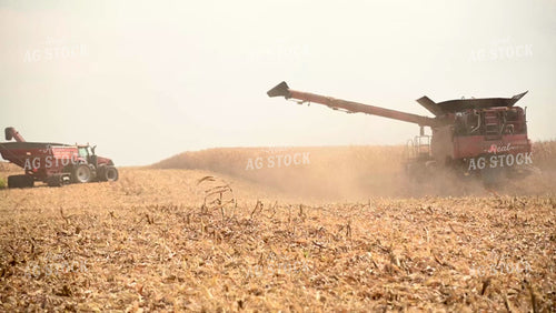 Harvesting Corn on Flat Ground - 452