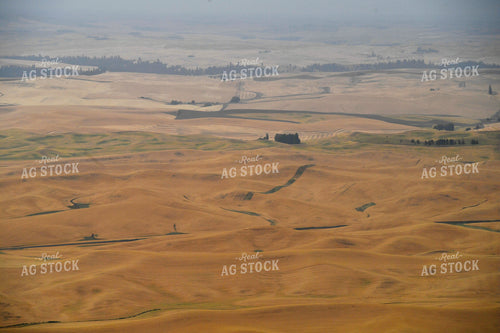 Rural Countryside with Rolling Hills 129046