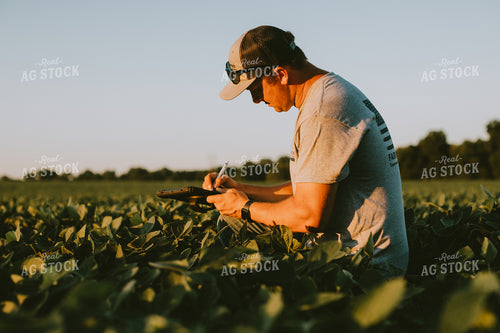 Farmer in Soybean Field with Tablet 6133