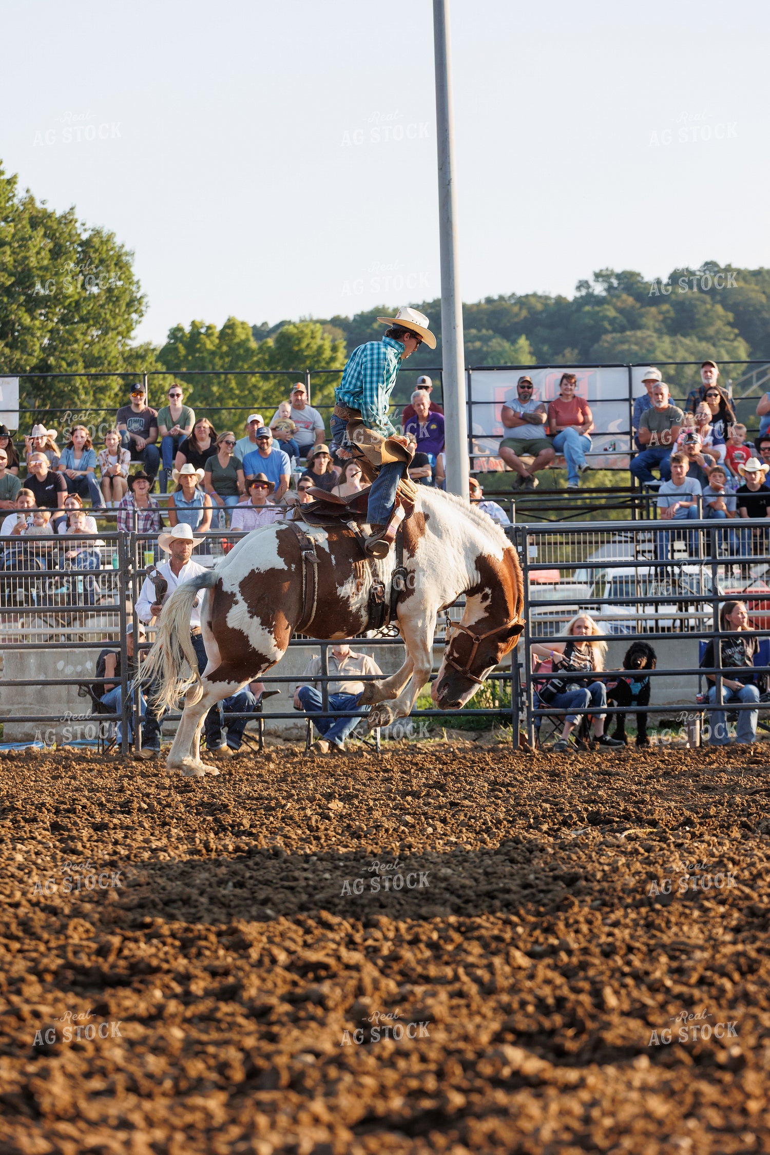 Rodeo 295135