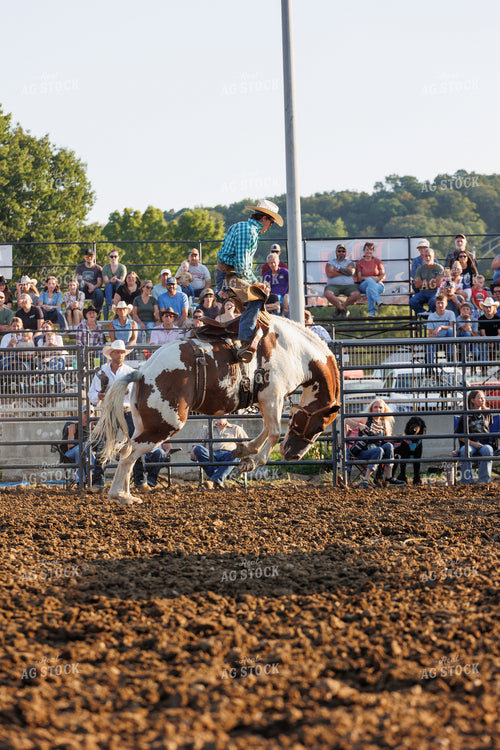 Rodeo 295135