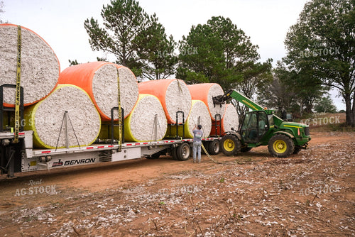 Loading Cotton Bales 128124