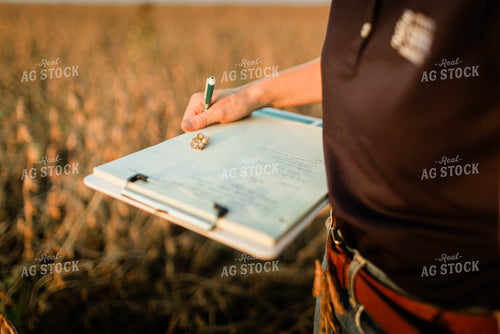 Female Agronomist Checking Beans 8339