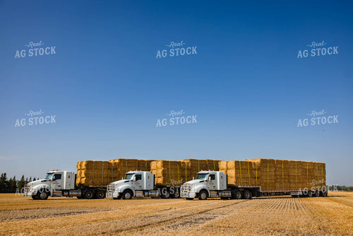 Loading Straw Bales 152347