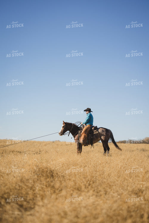 Cowboy on Horseback 219151