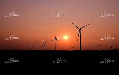Wind Turbines in the Sunset 154092