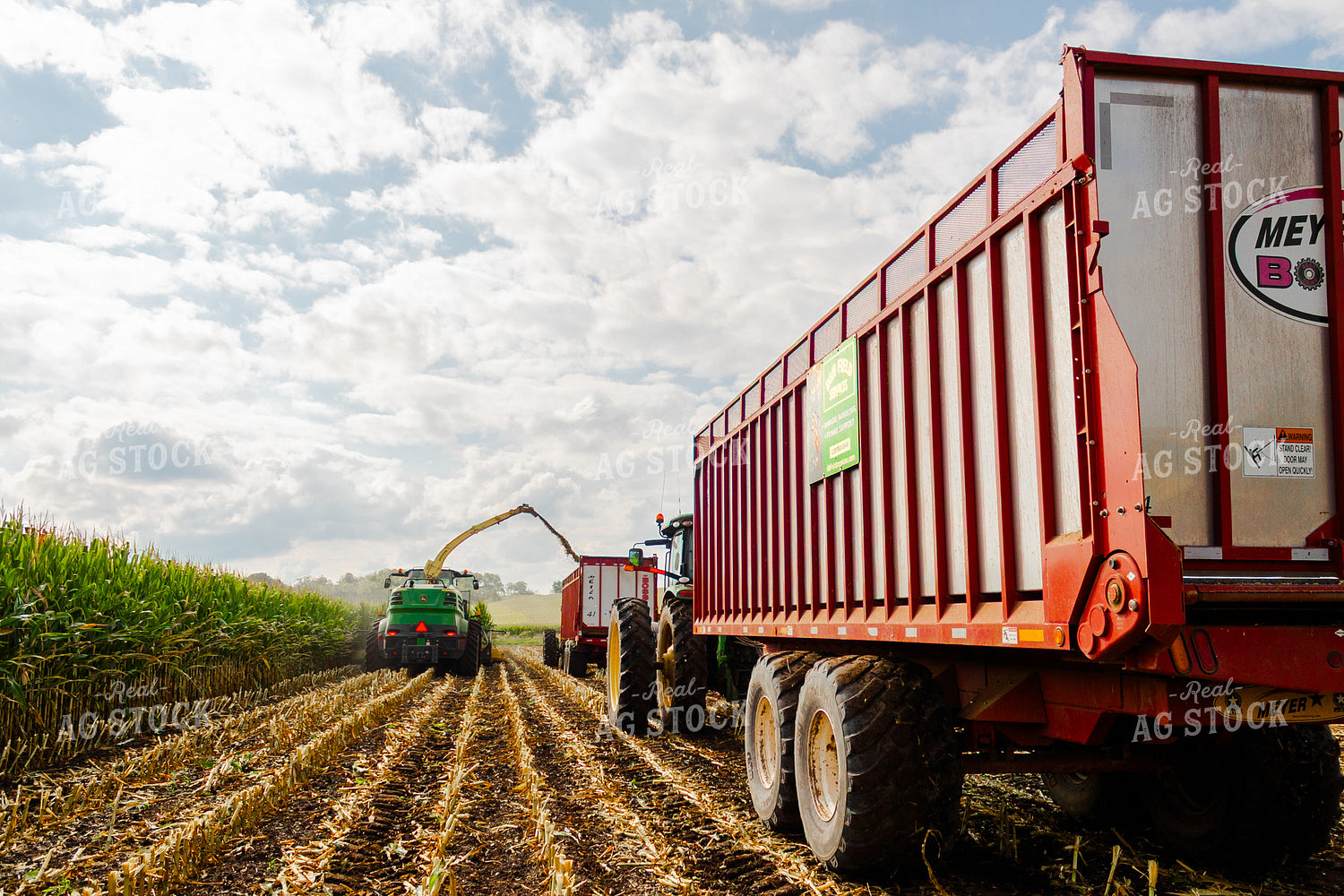 Corn Silage Harvest 272052