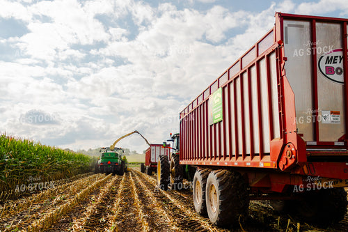 Corn Silage Harvest 272052