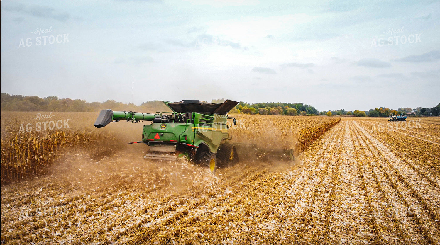 Corn Harvest 273017