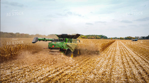 Corn Harvest 273017