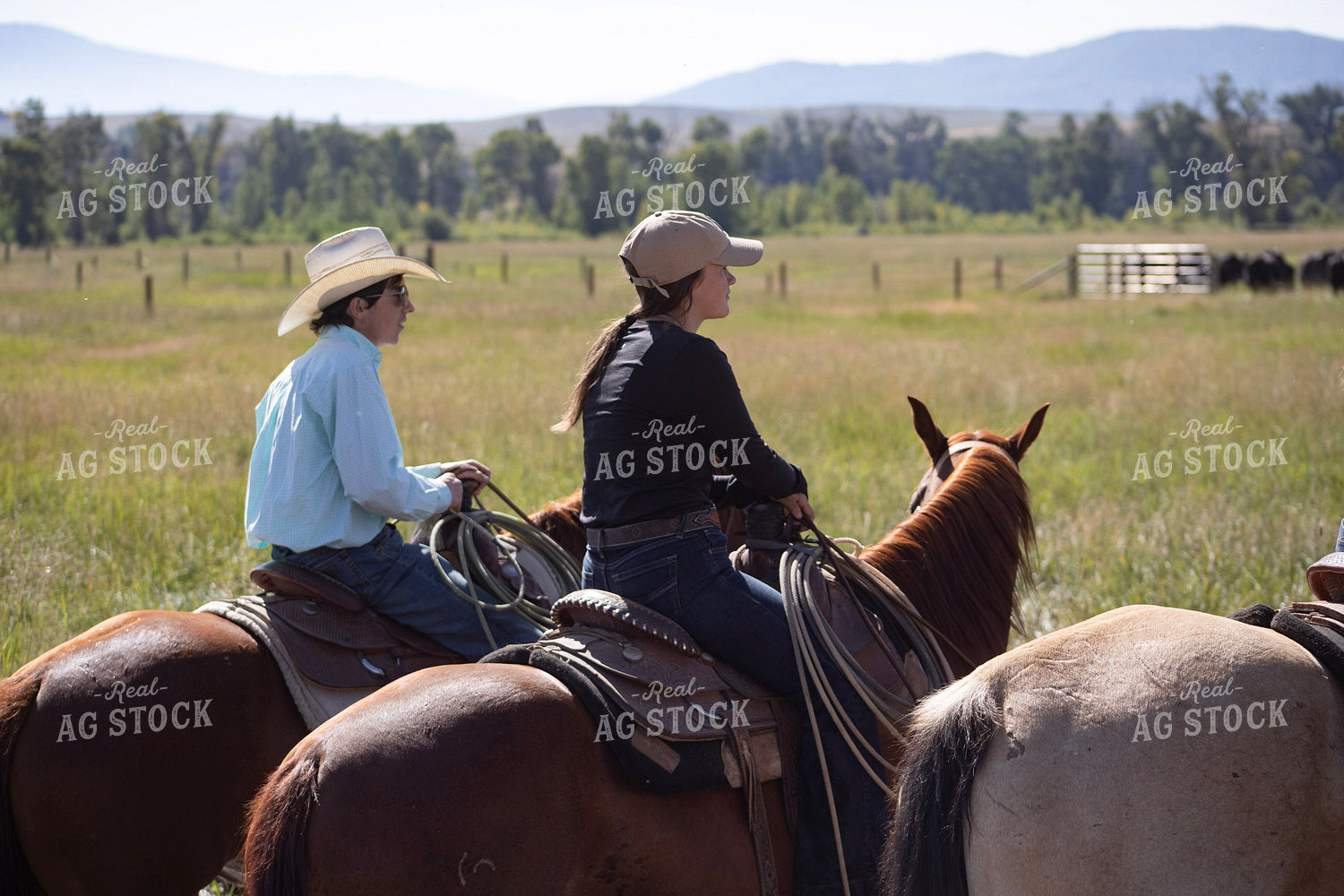 Cowboy and Cowgirl on Horseback 117434