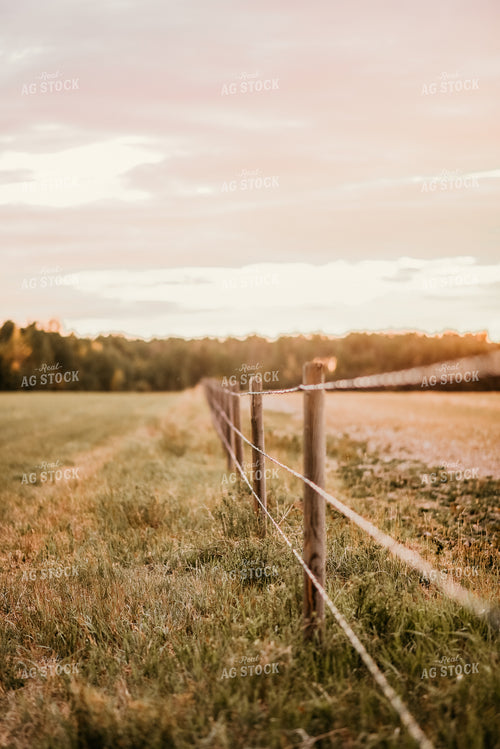 Fence Line of Pasture 64237