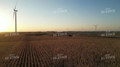 Aerial of Corn Harvest 268046