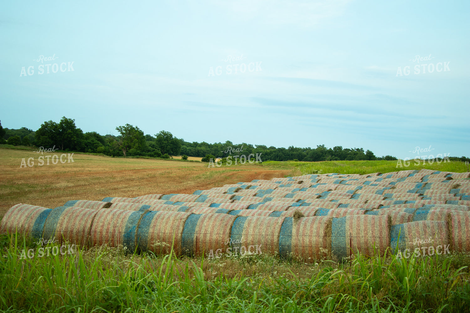 Hay Wrapped in Red, White and Blue 71023
