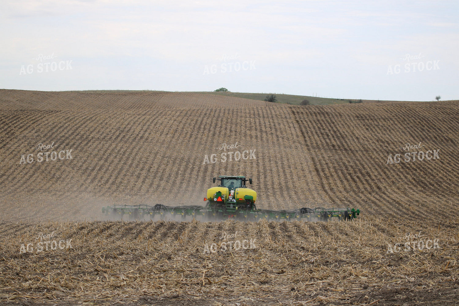 Planting in No Till Field 82401
