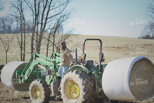 Farmer Feeding Cattle 251122