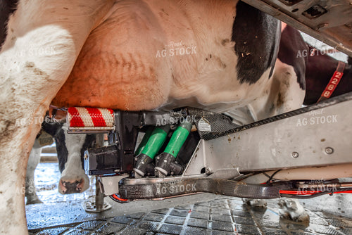 Robotic Milking Unit in Use 270281
