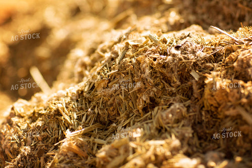 Sileage and Cotton Seed Cattle Feed 3844