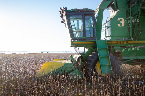 Cotton Harvest 208114