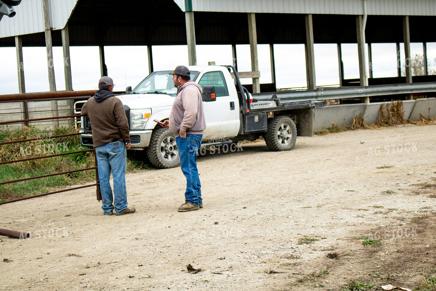 Farmer Talking on Farm 214272