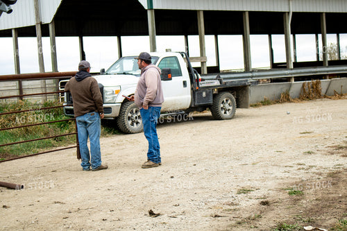 Farmer Talking on Farm 214272