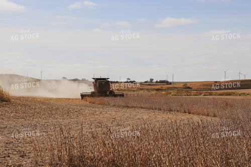 Soybean Harvest 67001