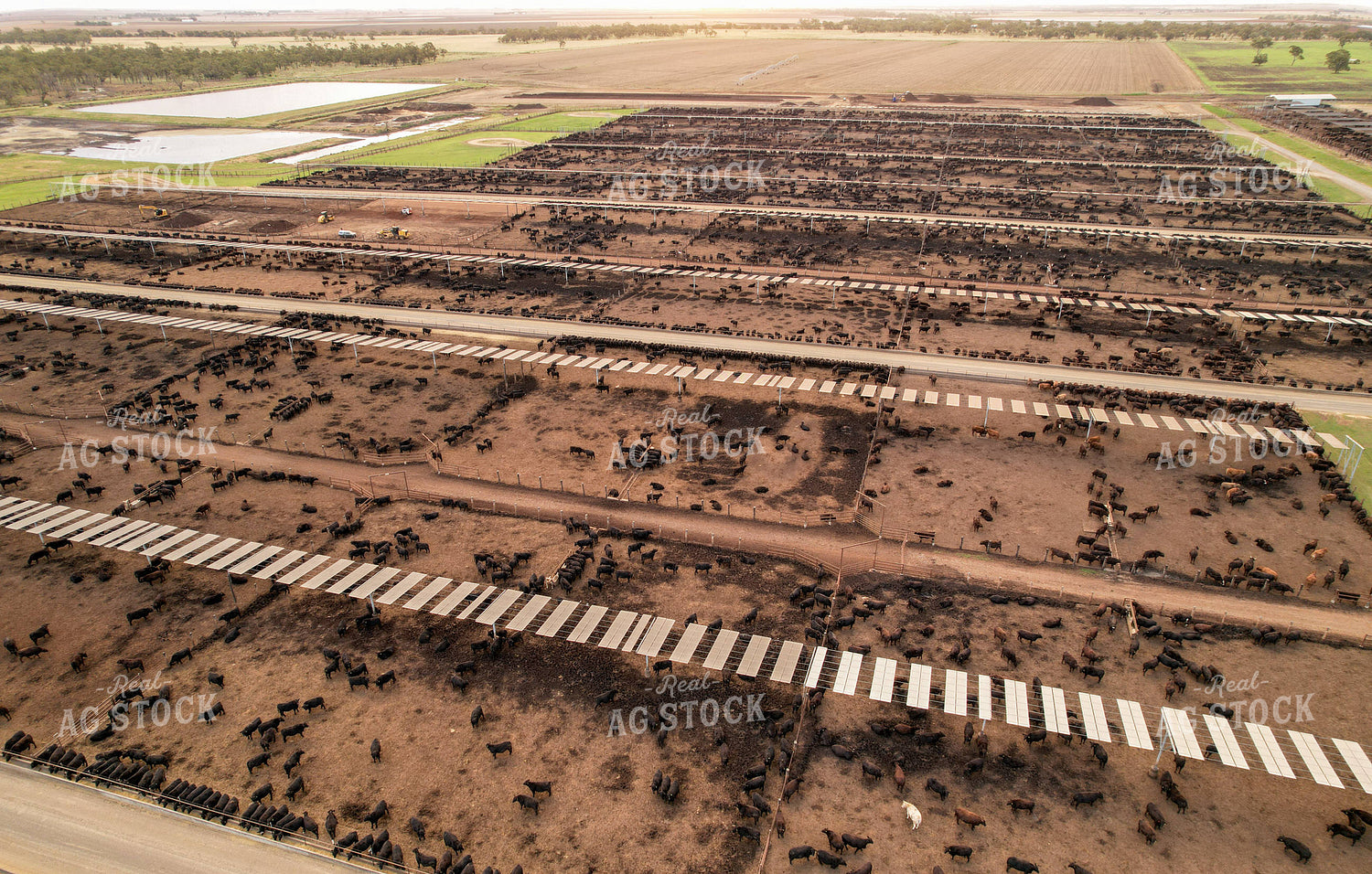 Aerial of Feedyard 261083
