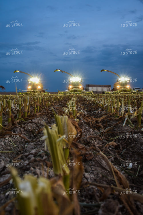 Silage Harvesters at Night 56218