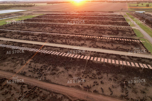 Aerial of Feedyard 261053