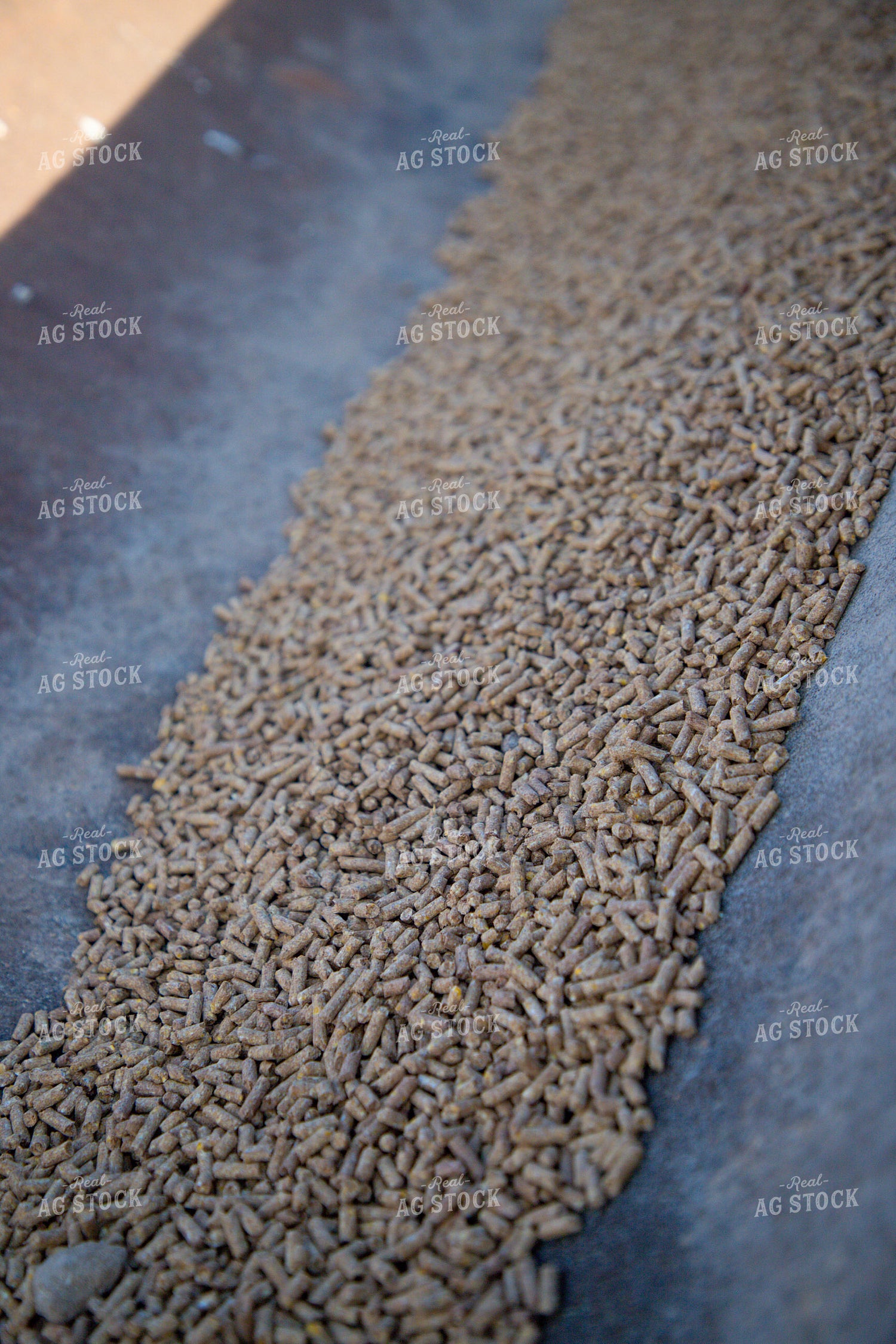 Feed Pellets in Feed Trough 208047