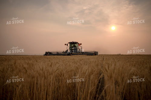 Wheat Harvest 135031