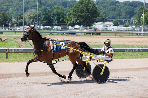 Harness Racing 52927