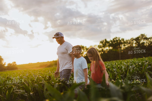 Farmer and Kids Checking Corn 8786