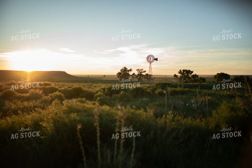 Scenic Landscape 190000