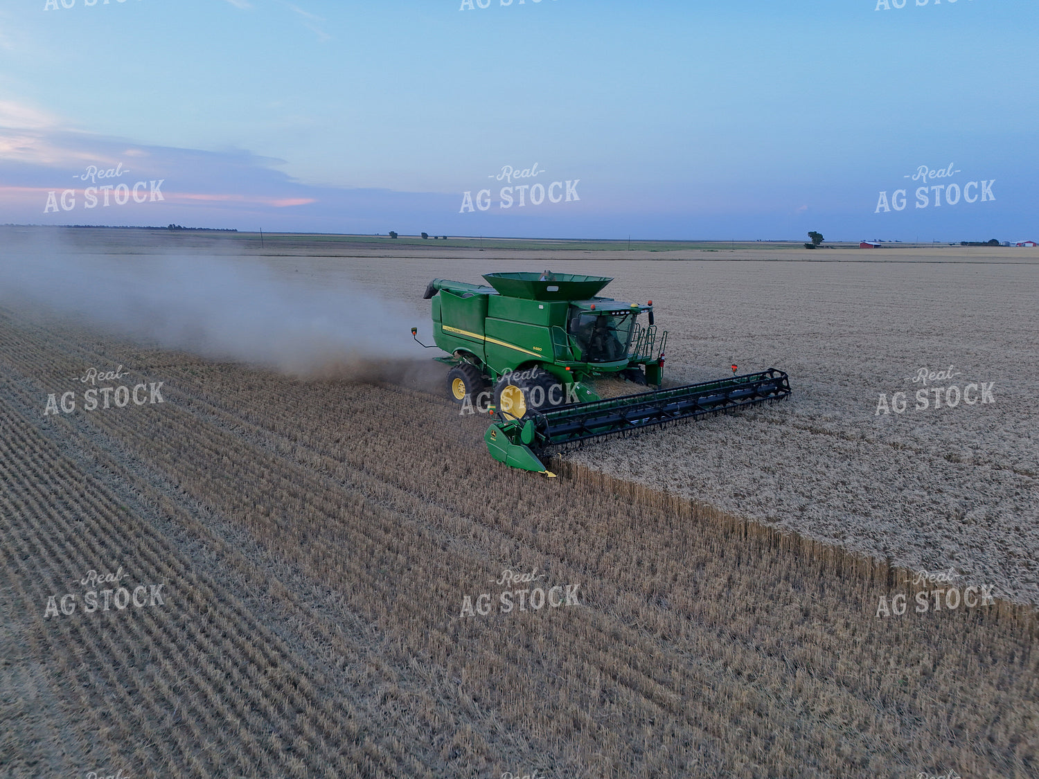 Wheat Harvest 239285