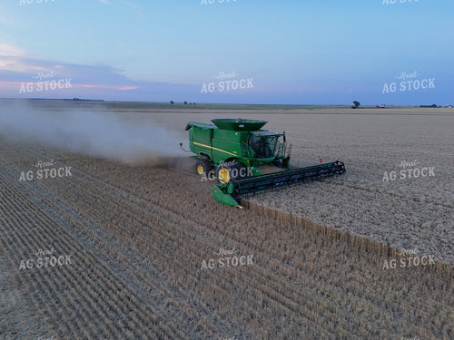 Wheat Harvest 239285