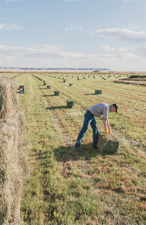 Farmer Racking Square Bales 61068